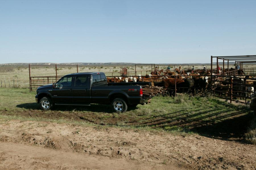  Ford F-250 Super Duty 2005 года  (фото 25 из 31)